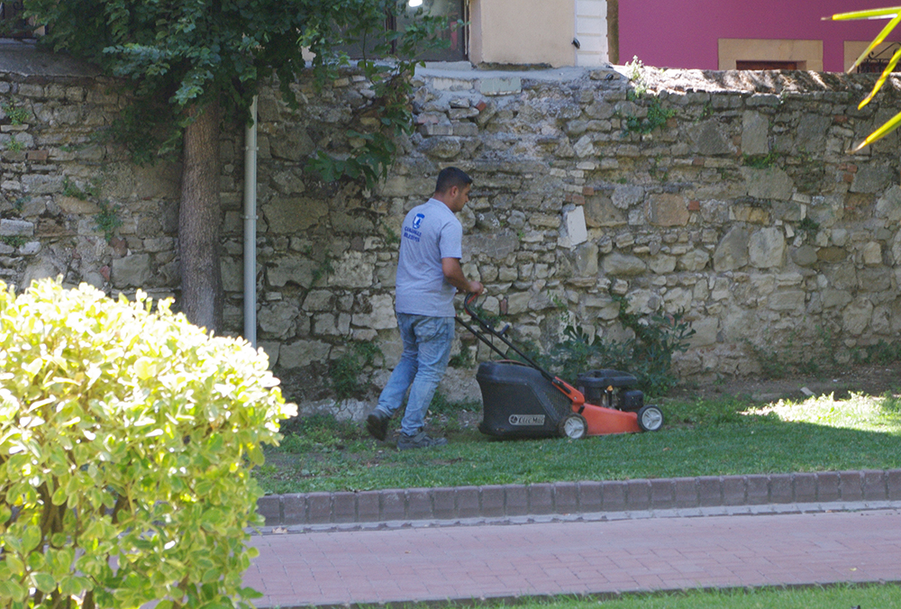 Park ve Bahçeler Müdürlüğü