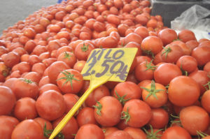 Vatandaşın talebi salçalık domatese