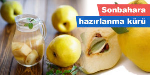 Sonbahara hazırlanma kürü