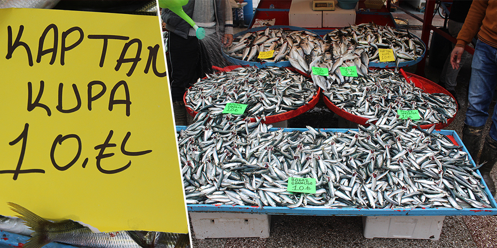 Omega deposu balıkta fiyatlarda