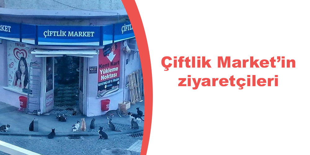 Kayserili Ahmet Paşa Caddesi