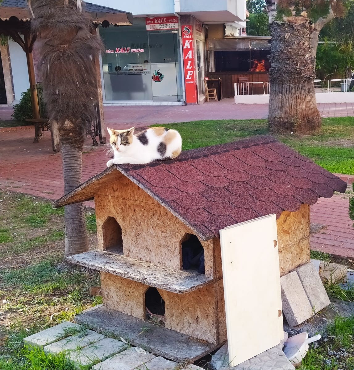 Çanakkale Belediyesi’nin sokak hayvanlarına