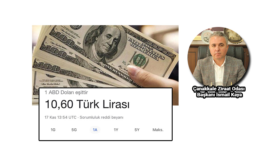 Dolar kurundaki artış Türkiye’de