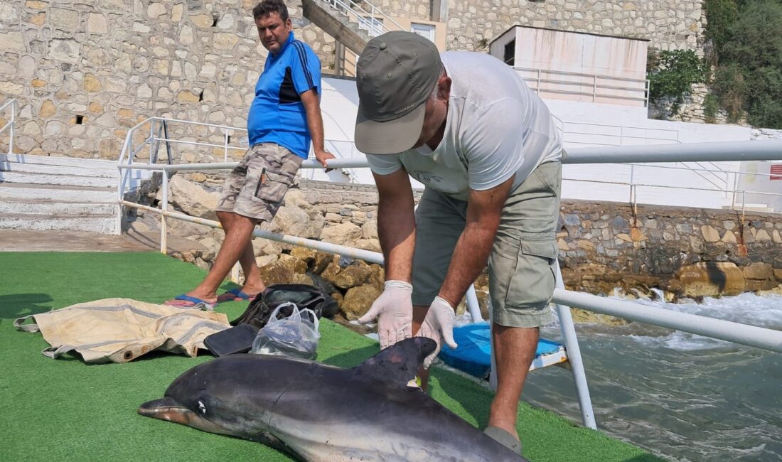 Aydın’ın Kuşadası ilçesinde vatandaşlar