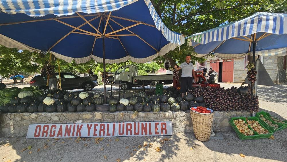 Balıkesir’in Erdek İlçesinde, Coğrafi