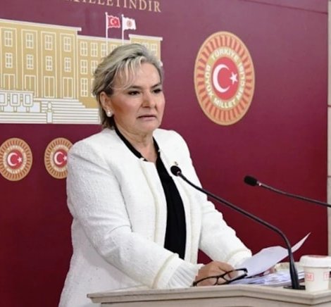 İYİ Parti İstanbul Milletvekili