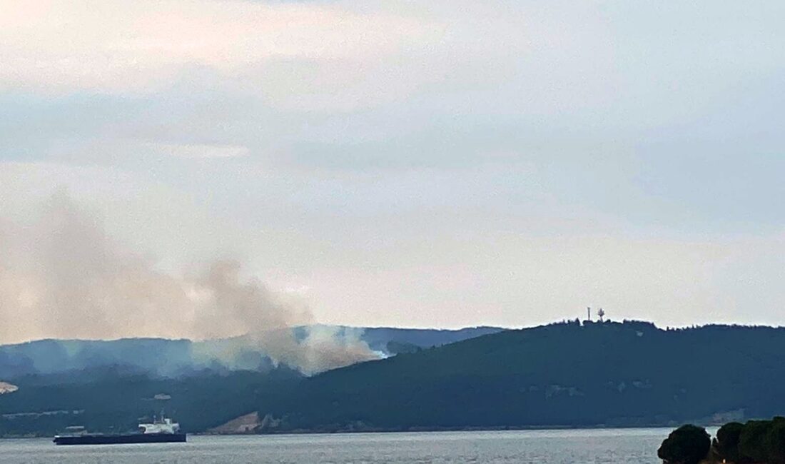 Bugün akşam saatlerinde Eceabat