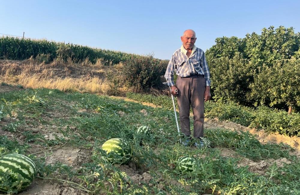 Denizli’nin Buldan ilçesinde 88