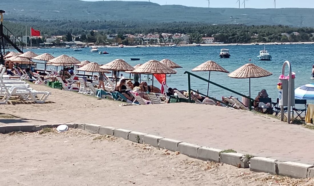 Dardanos Halk Plajı, temizliği,