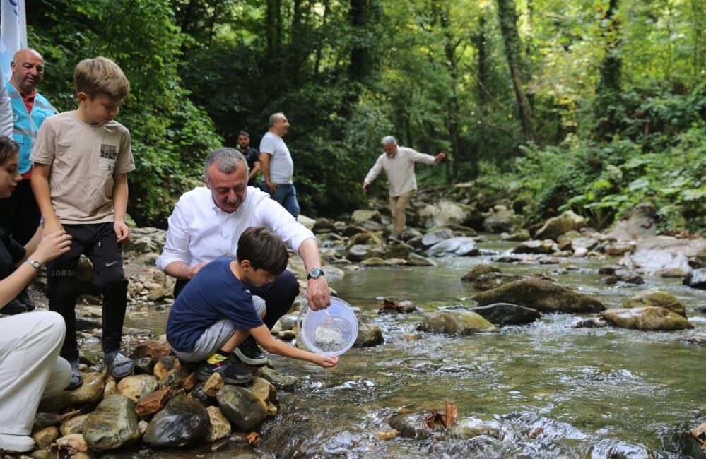 Kocaeli’de balık popülasyonunun artması