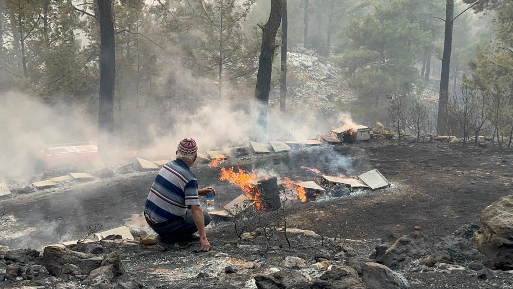 Muğla’nın Menteşe ilçesinde çıkan