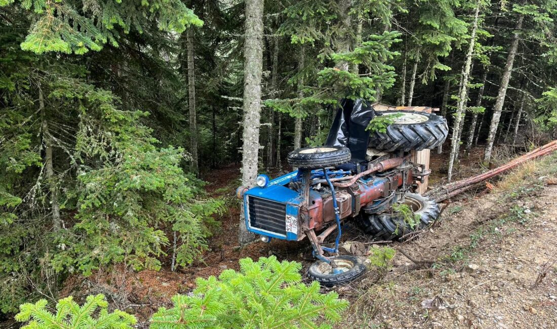 Kastamonu’nun Daday ilçesinde devrilen