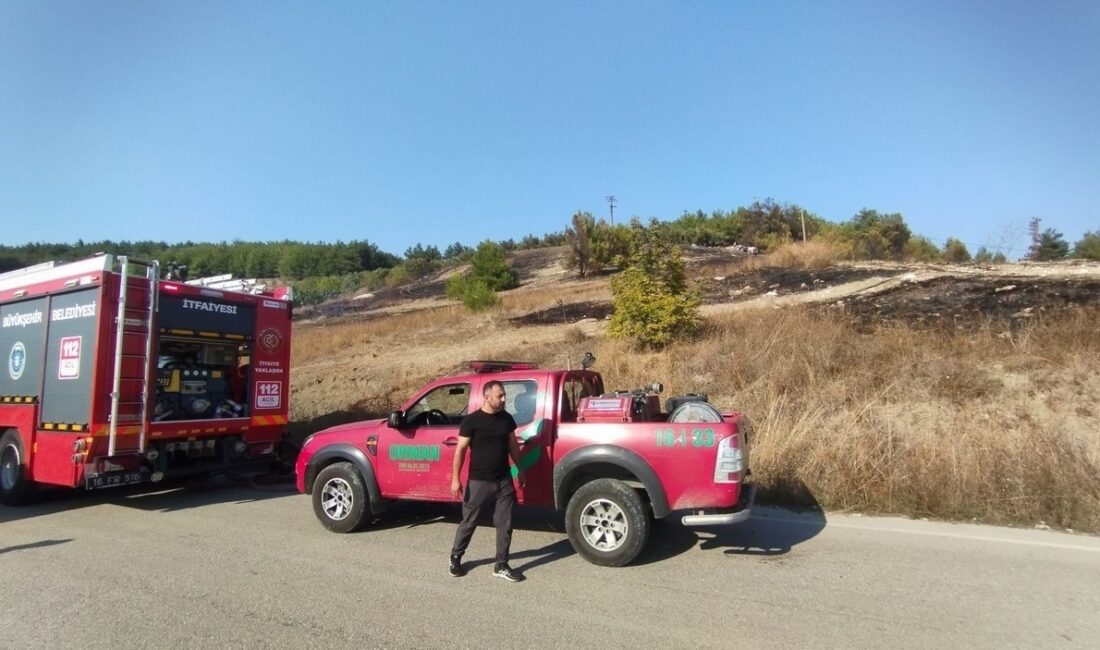 Bursa’nın Mudanya ilçesinde otluk