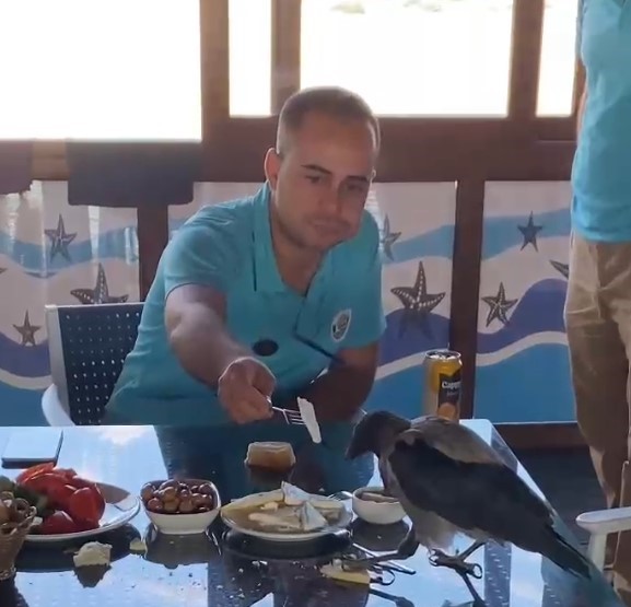 Antalya’nın Serik ilçesinde bir