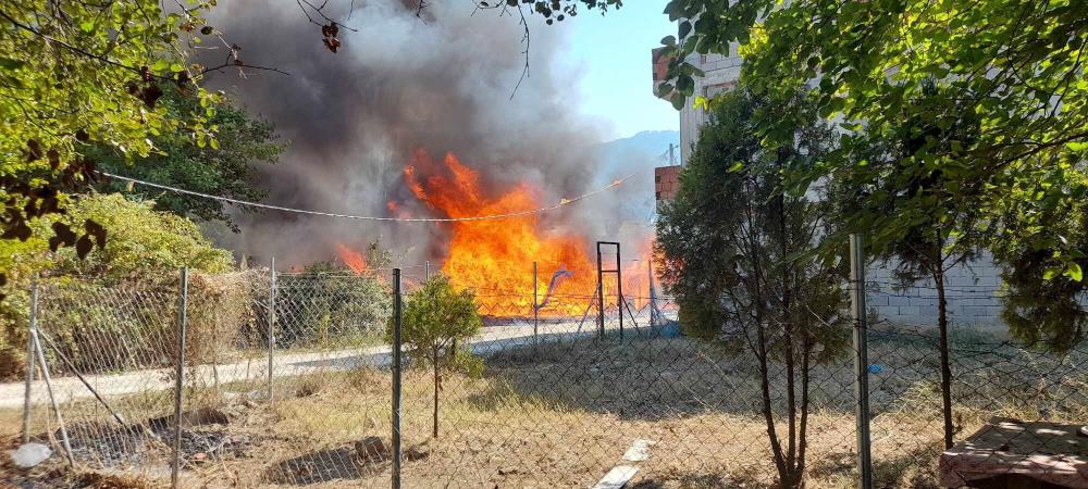 Bursa’nın Gemlik ilçesinde çıkan