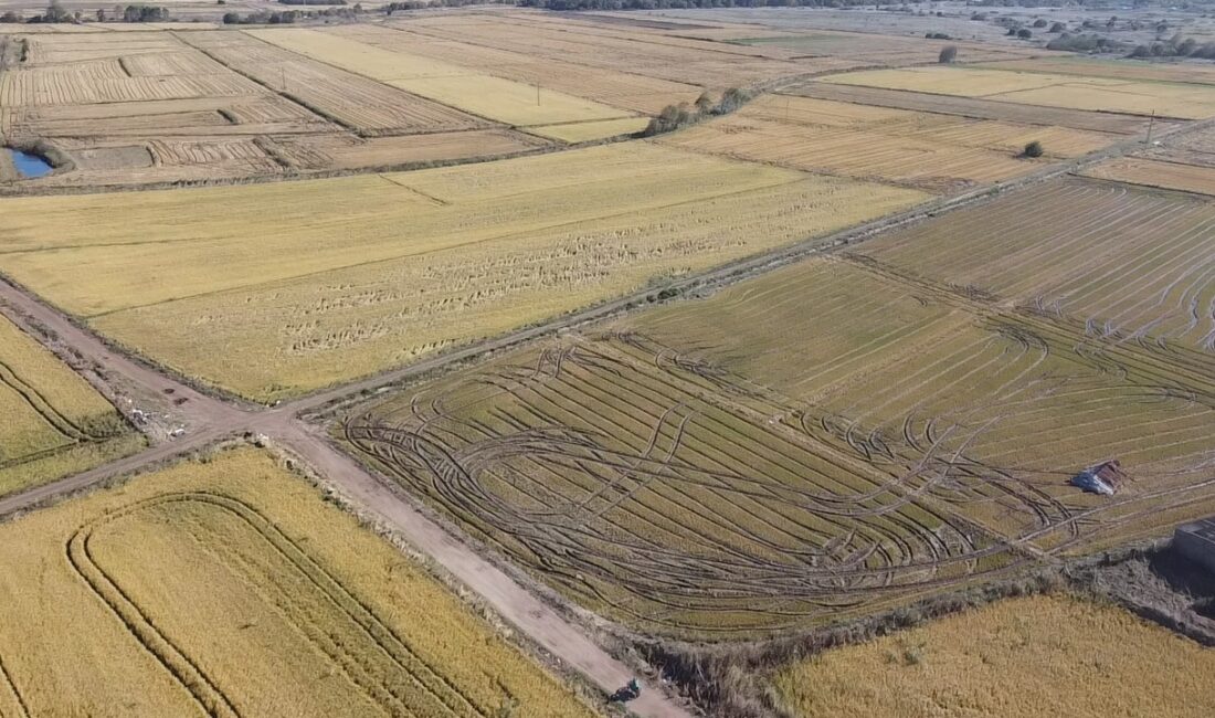 Çanakkale’nin Biga ilçesinde dolu