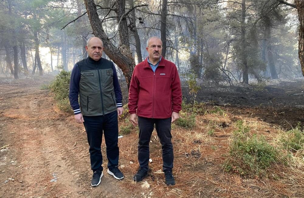 Çanakkale’nin Lapseki ilçesine bağlı