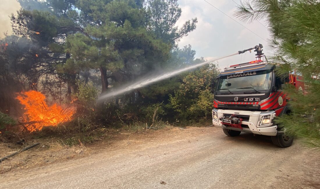 Çanakkale’nin Lapseki ilçesine bağlı