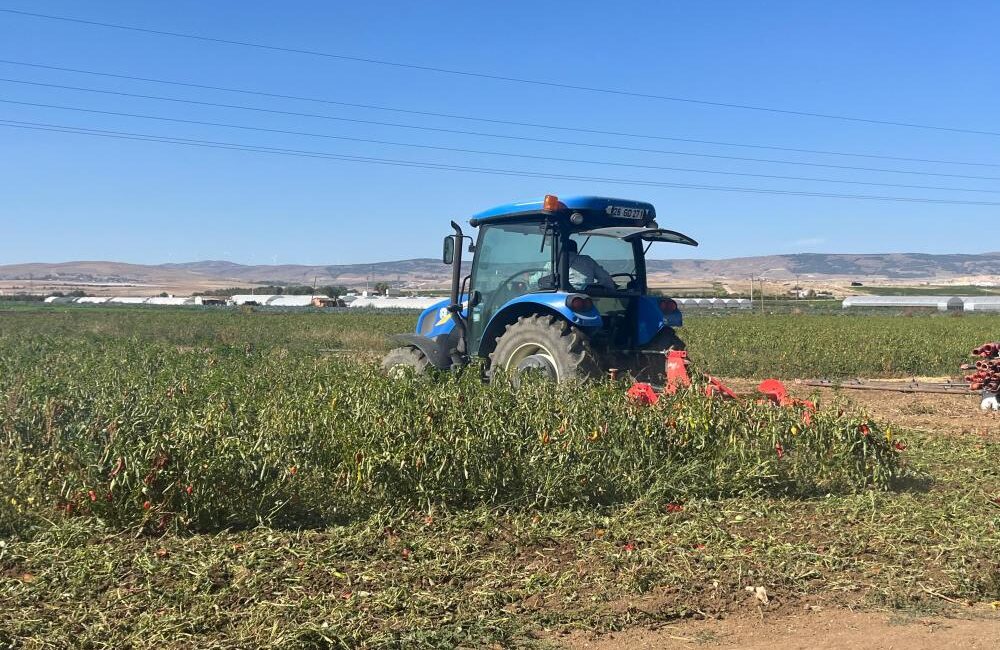 Eskişehir’de bazı çiftçiler plansız