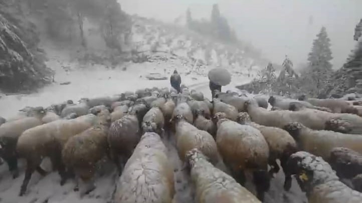 Doğu Karadeniz’in yüksek kesimlerinde