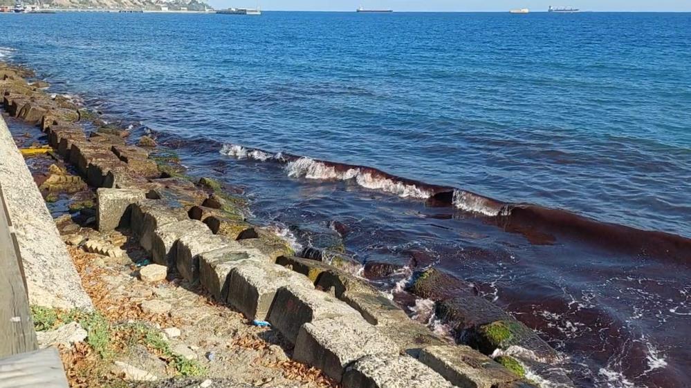 Marmara Denizi’nin Tekirdağ kıyıları,