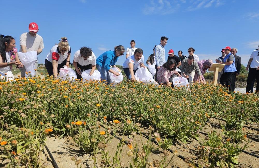 Çanakkale Savaşları’nın yaşandığı Tarihi