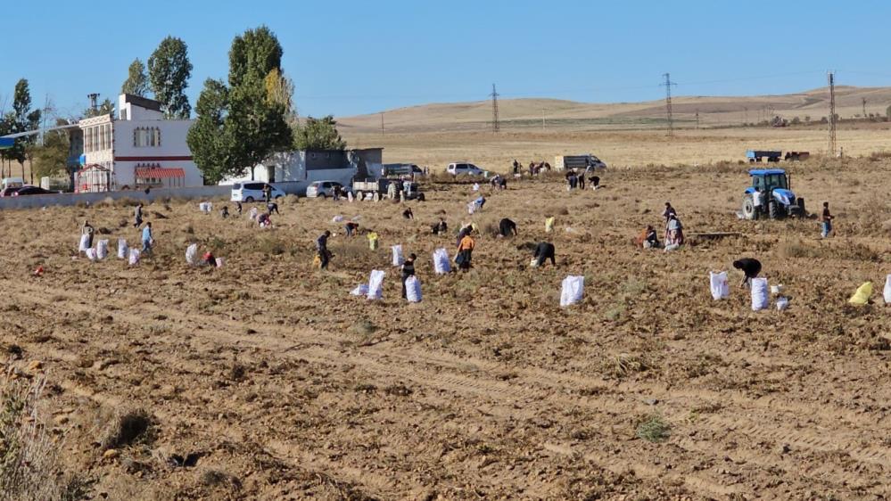 Bitlis’in Adilcevaz ilçesinde çiftçilik