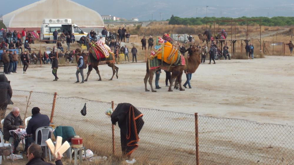 Balıkesir’in Burhaniye ilçesinde, Burhaniye