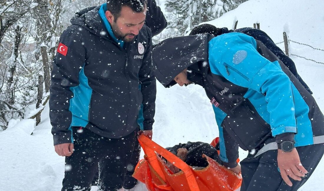 Kastamonu’nun Bozkurt ilçesinde 50