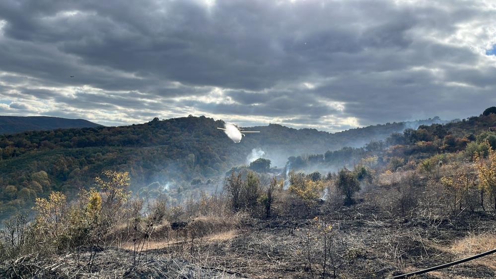 Çanakkale’nin Biga ilçesinde çıkan