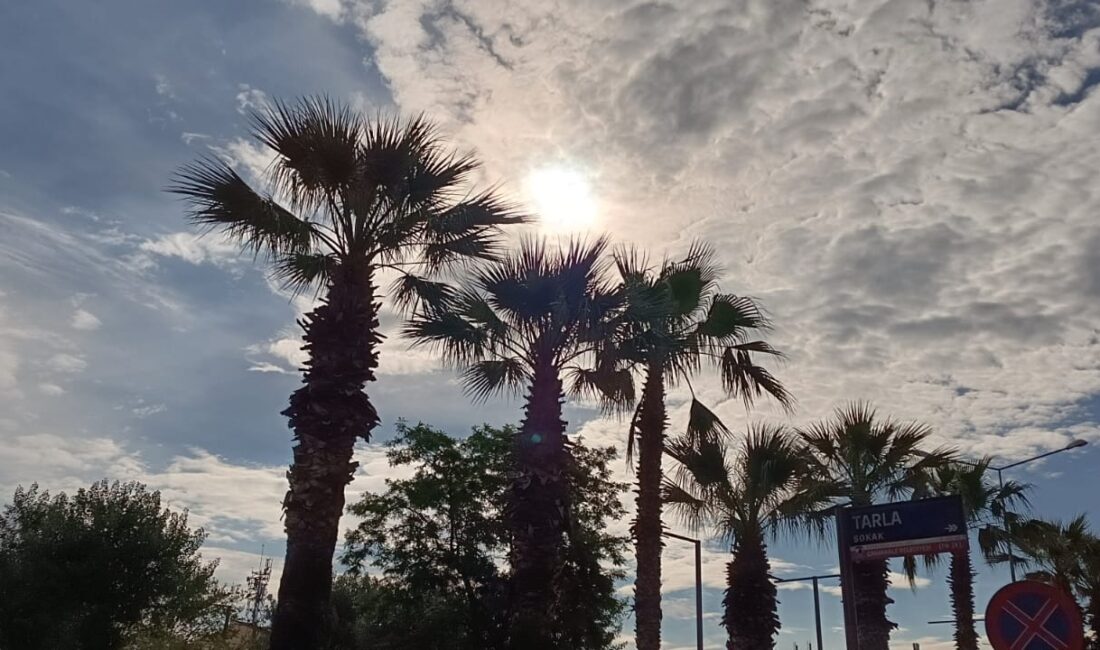 Meteoroloji, Cumartesi günü için