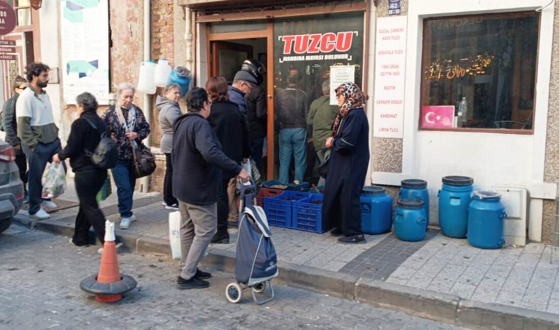 Bu günlerde zeytin hasadı