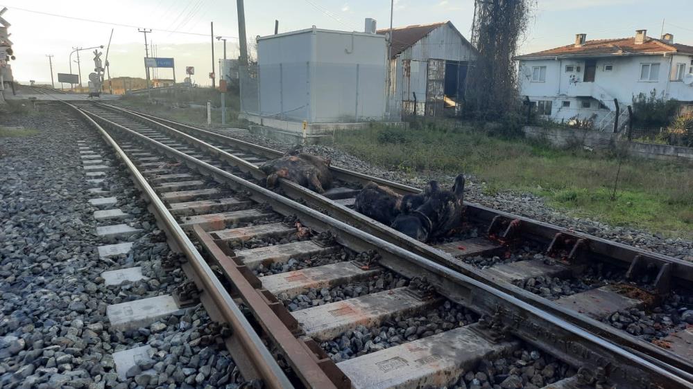 Zonguldak’ın Çaycuma ilçesine bağlı