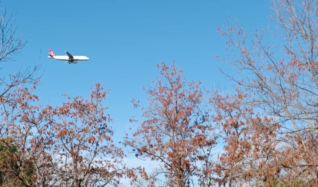 Türk Hava Yolları’nın pilotları,