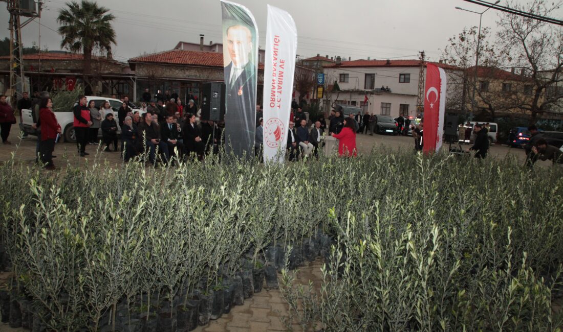 Çanakkale’nin Eceabat ilçesinde geçen