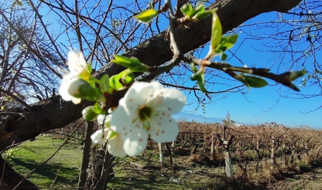 Hava sıcaklıklarının mevsim normallerinin