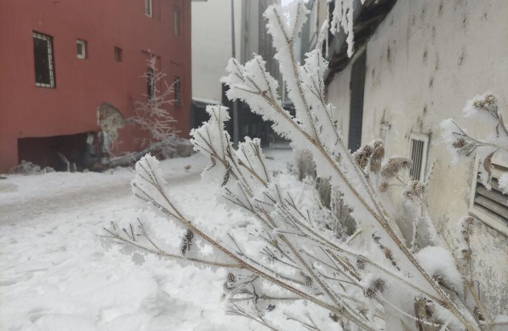 Ardahan’da dondurucu soğuklar hayatı